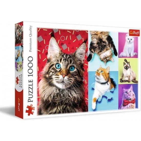PZ 1000 / CHATS ENJOUES