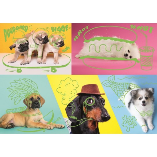 PZ 1000 / CHIENS EXCENTRIQUES