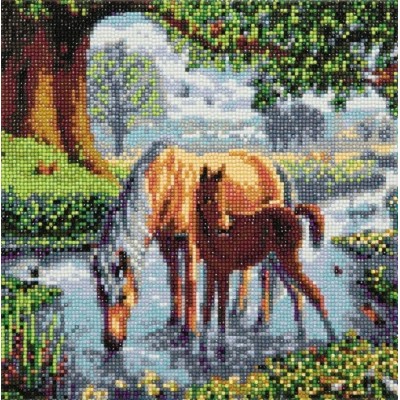TOILE DIAMANT / PONEY PAR TERRE