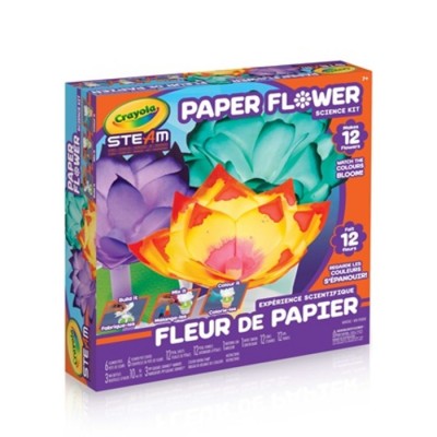 EXPERIENCE SCIENTIFIQUE FLEUR DE PAPIER