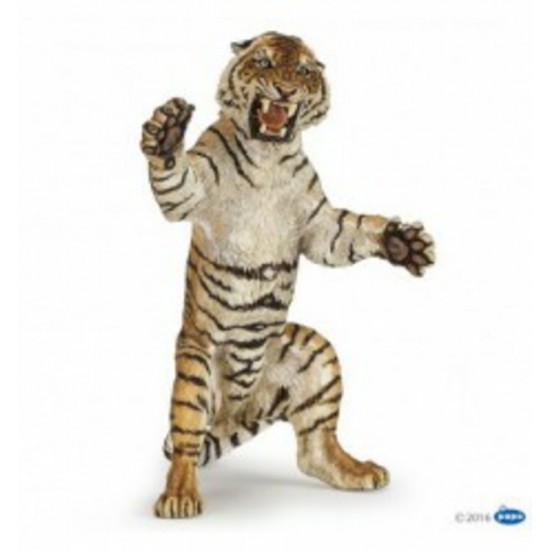 TIGRE DEBOUT
