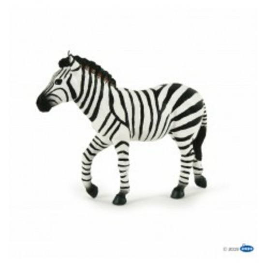 ZEBRE MALE