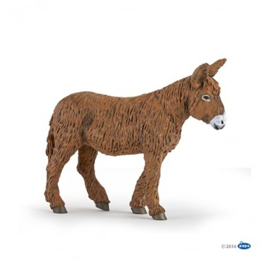 ANE DE POITOU