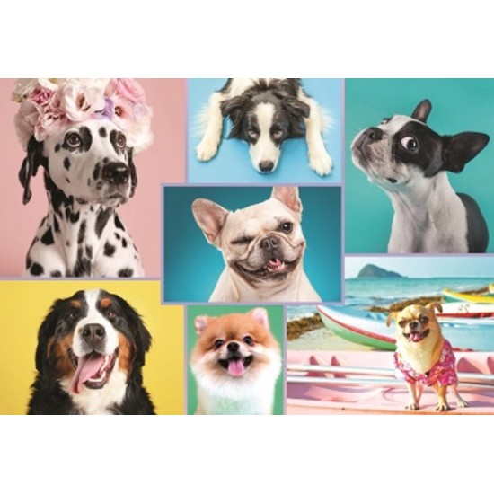 PZ 1500 / CHIENS MIGNONS