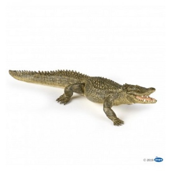 ALLIGATOR