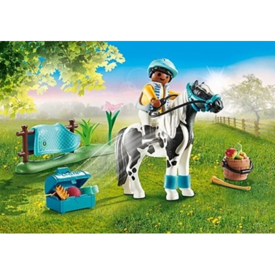 COUNTRY CAVALIER AVEC PONEY LEWITER