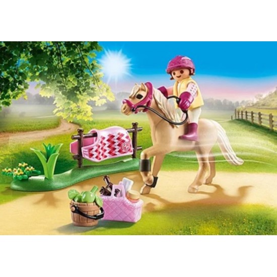 COUNTRY CAVALIERE AVEC PONEY BEIGE