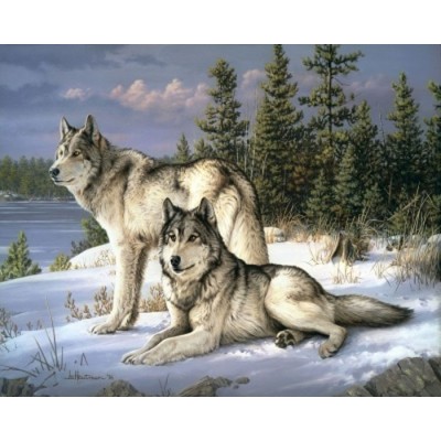 PEINTURE# / COUPLE DE LOUP (CADRE)