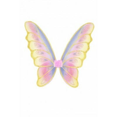 AILES MULTICOLORE ET OR