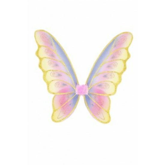 AILES MULTICOLORE ET OR