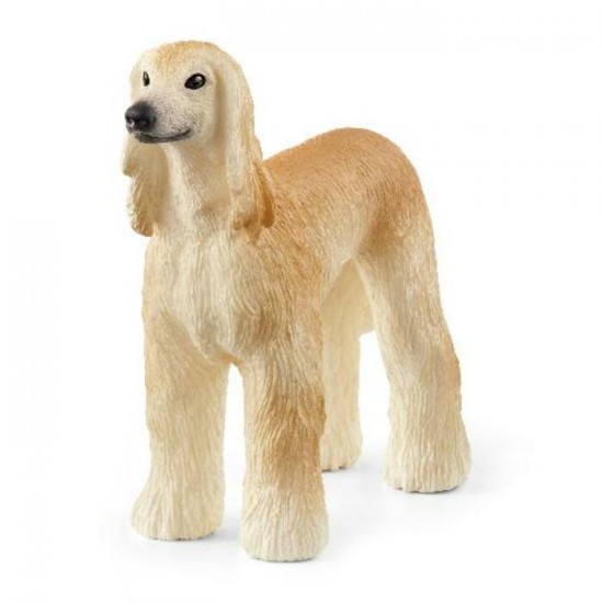 CHIEN LEVRIER AFGHAN