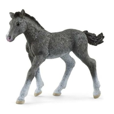 POULAIN TRAKEHNER POULAIN TRAKEHNER
