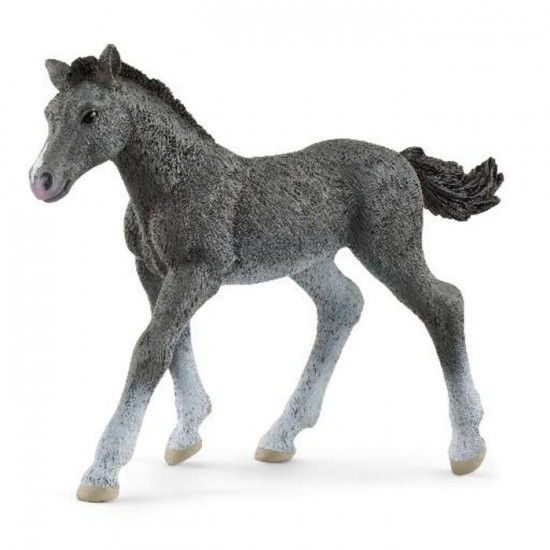 POULAIN TRAKEHNER