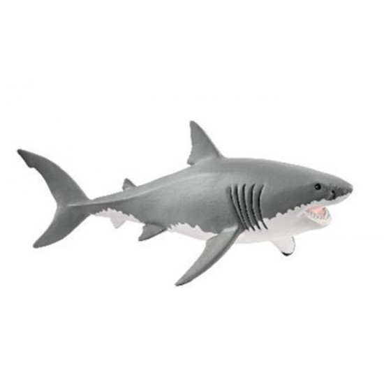 GRAND REQUIN BLANC