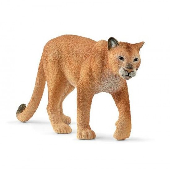 COUGAR (PUMA)