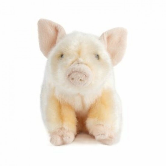 PELUCHE COCHONNET