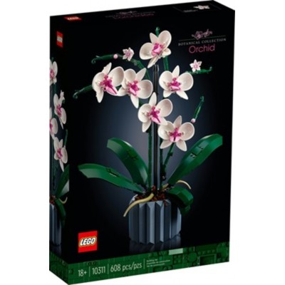 CREATOR BOTANICAL / ORCHIDÉE