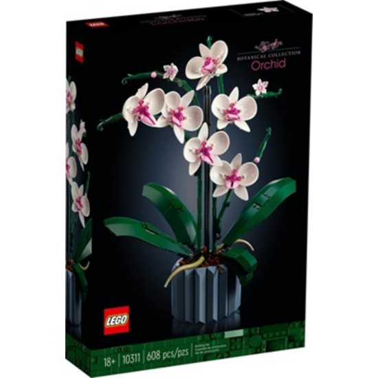 CREATOR BOTANICAL / ORCHIDÉE