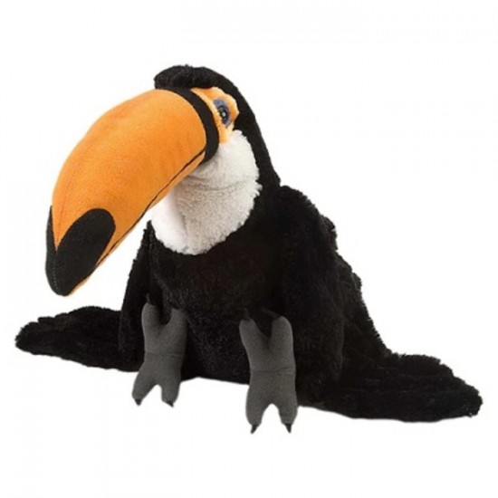TOUCAN