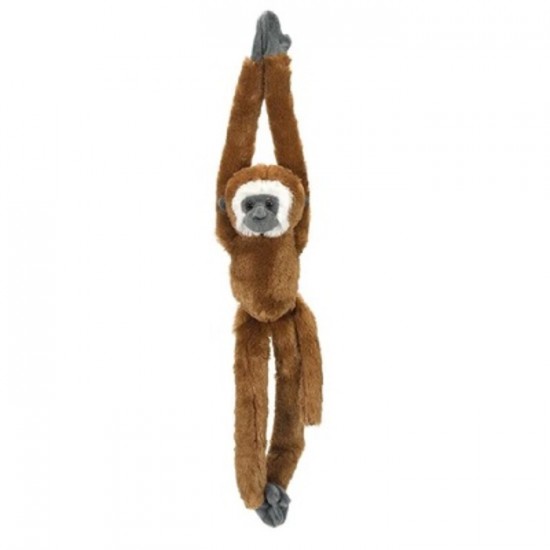 GIBBON