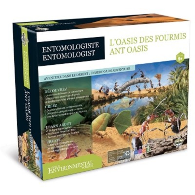 ENS DE SCIENCE/ENTOMOLOGISTE/L'OASIS DES FOURMIS