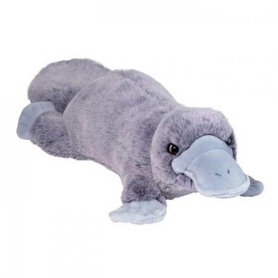 PELUCHE PLATYPUS SOFT
