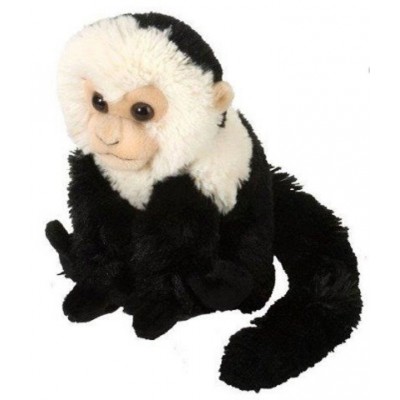 PELUCHE SINGE CAPUCIN