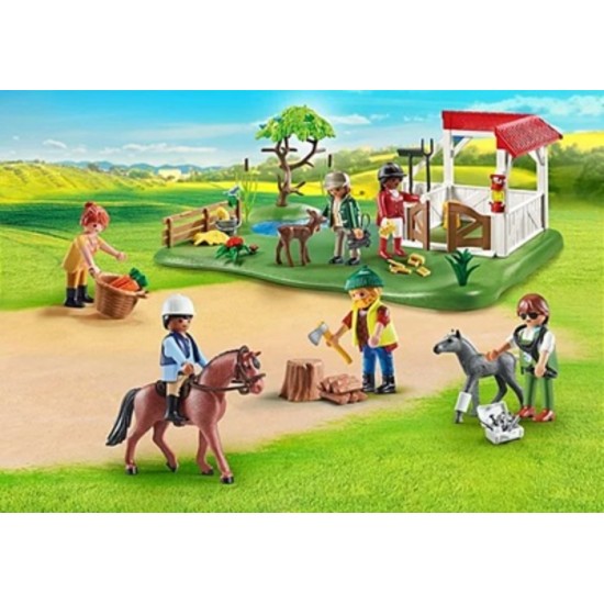 MY FIGURES RANCH EQUESTRE