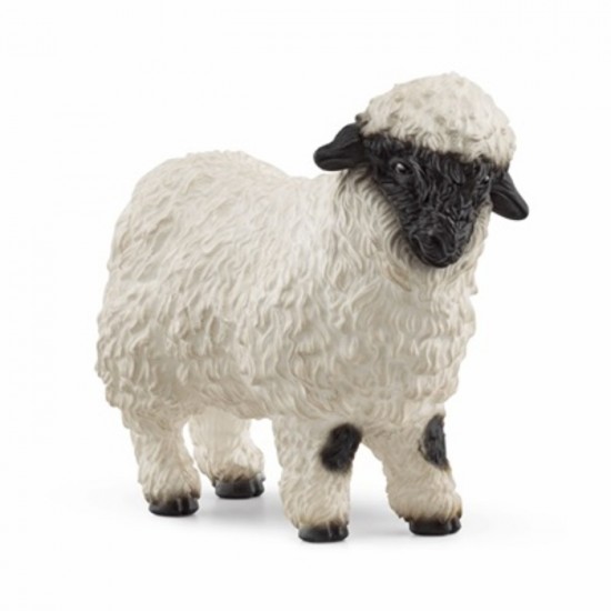MOUTON BLACKNOSE