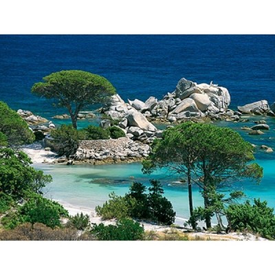 PZ 1000 PLAGE DE PALOMBAGGIA