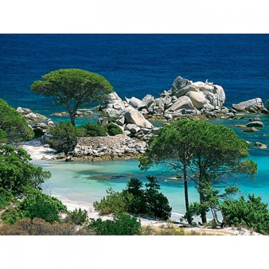 PZ 1000 PLAGE DE PALOMBAGGIA