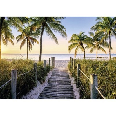 PZ 1000 PLAGE DE FLORIDE