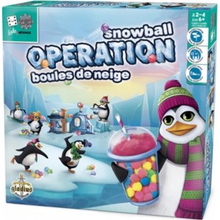MISSION BOULES DE NEIGE LUDO&MENINGE