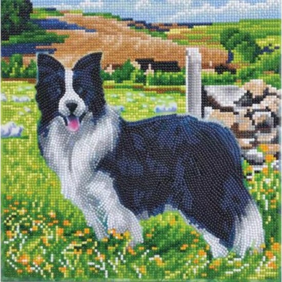 TOILE DIAMANT / CHIEN DANS LE CHAMPS