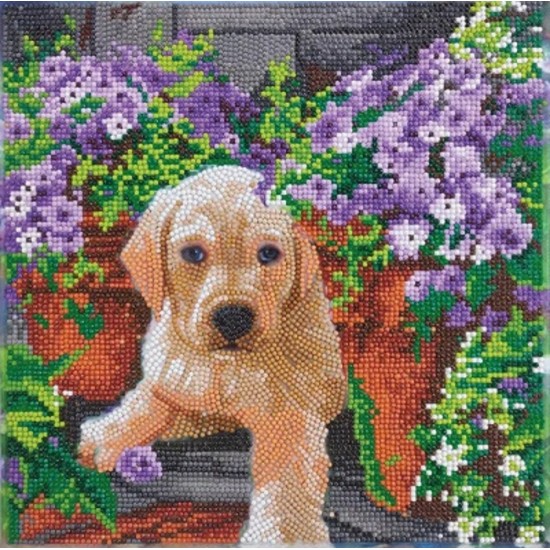 TOILE DIAMANT / CHIOT DANS LES FLEURS