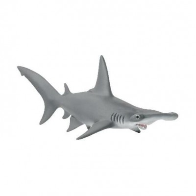 REQUIN MARTEAU