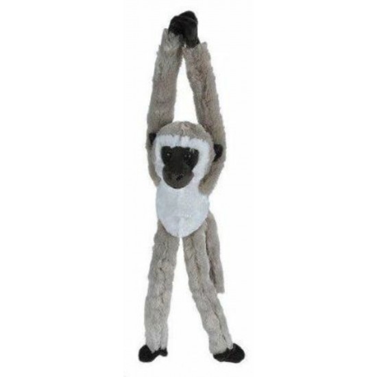 PELUCHE SINGE VERVET