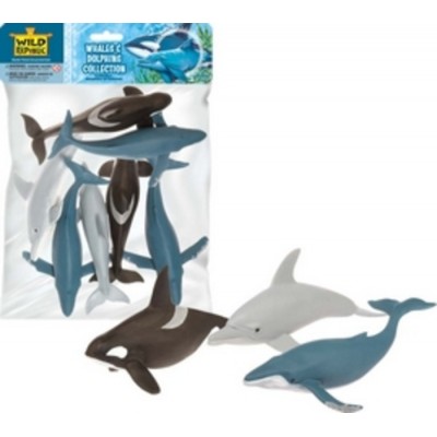 DAUPHINS DANS UN SAC