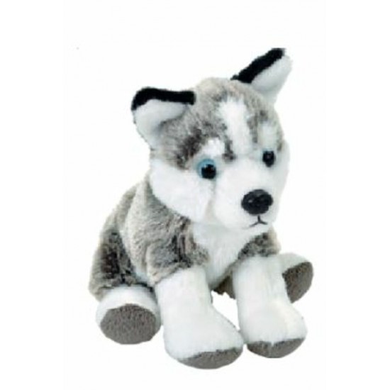 PELUCHE CHIEN MINI HUSKY