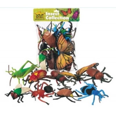 INSECTES DANS UN SAC