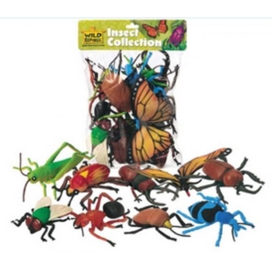 INSECTES DANS UN SAC