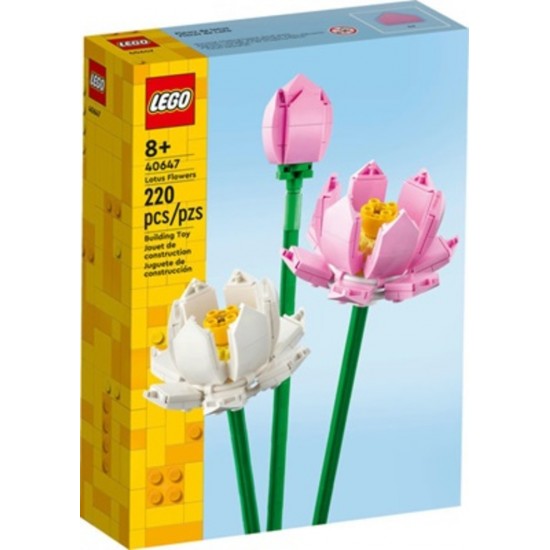 BOUQUET FLEURS DE LOTUS