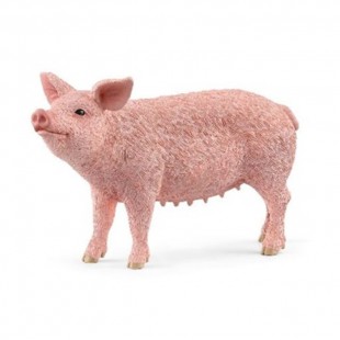 COCHON