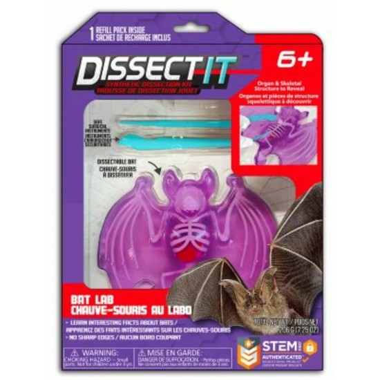 DISSECT IT / CHAUVE-SOURIS