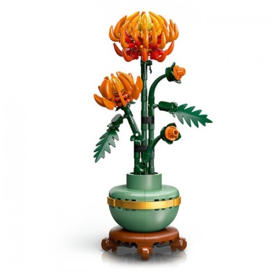 BOTANICAL / CHRYSANTHEME