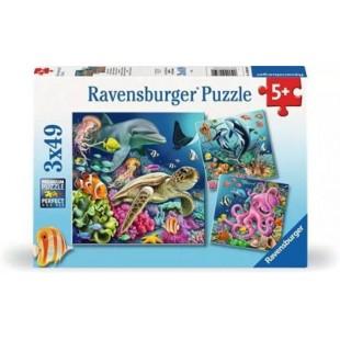 PZ 3X49 / SPLENDEUR SOUS MARINE