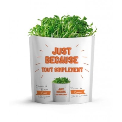 TOUT SIMPLEMENT - Gift a Green Carte de souhait