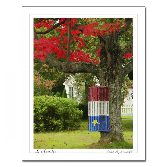 Impression du drapeau acadien - cage à homards