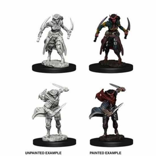 Donjons et Dragons Nolzurs Marvelous Unpainted...