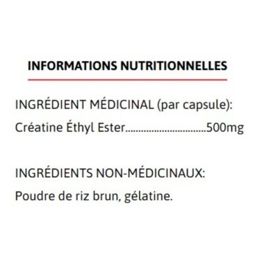 Absorb-X Créatine XPN